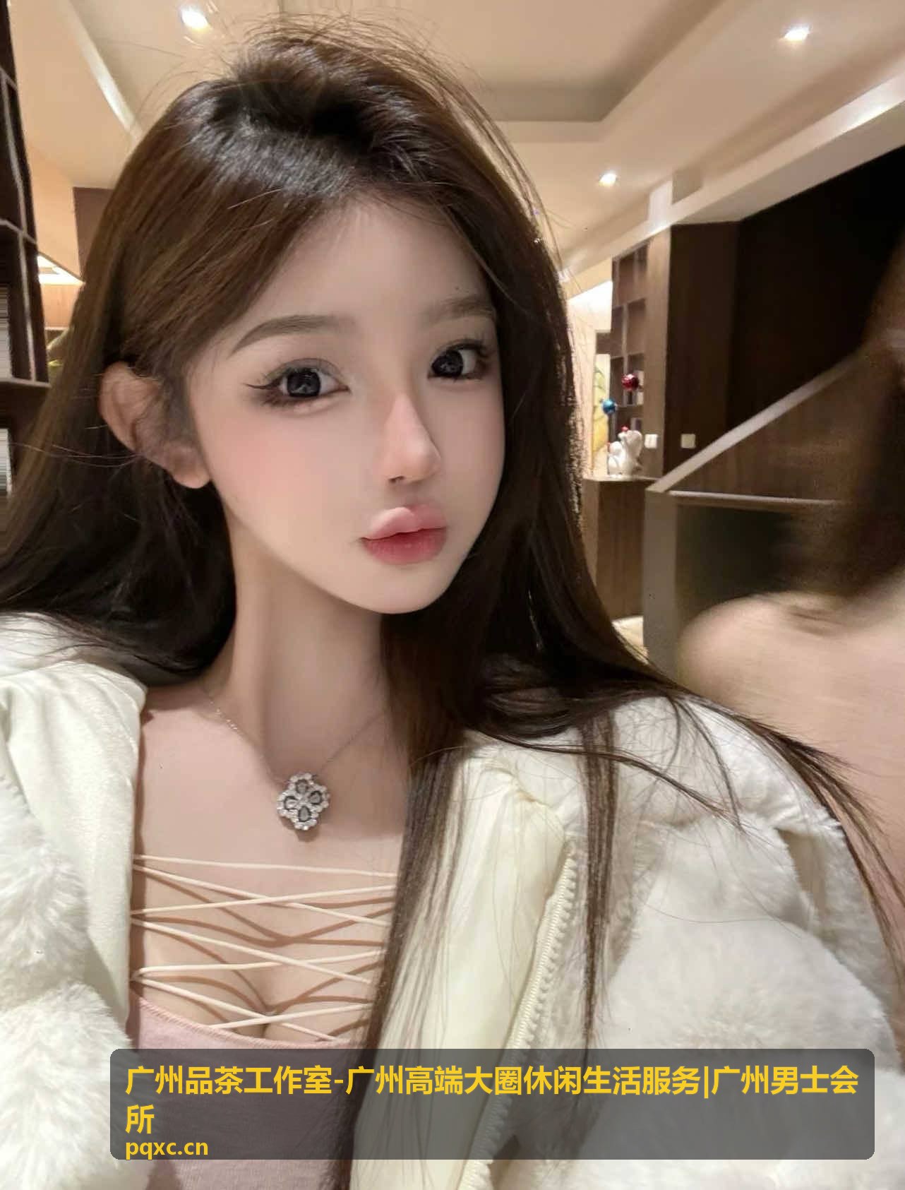 广州品茶工作室茶类品鉴服务